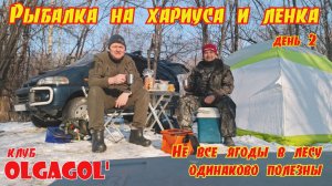 Горная рыбалка на хариуса и ленка День 2 Не все ягоды в лесу, одинаково полезны.