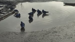 Саратов 14.11.25 Срочно Что ПРОИСХОДИТ прямо сейчас