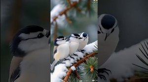 ПАДАЮТ СНЕЖИНКИ - АВТОР НАДЕЖДА МЕЛЕХОВА, ИСПОЛНЯЕТ ИИ, ВИДЕО-МОНТАЖ ЮРИЯ КОМИССАРОВА.