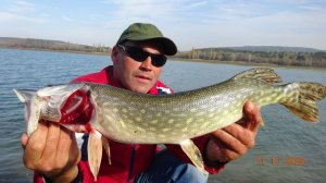 Скромный улов Одна щука.Ловля на живца ноябрь 2025