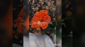 День рождения сосиски !😋🍣