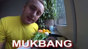 Мукбанг. Я вывел деньги с РуТуб. Ничего себя сумма, я стал блогером миллионером.