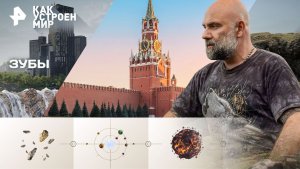 Зубы — Как устроен мир с Тимофеем Баженовым	(14.11.2025)