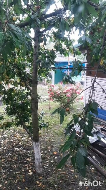 Дом и двор.Сборник интересных моментов на эту тему.Фильм5.Серия2.Часть1 .mp4