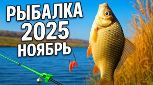 Рыбалка на донку КРОКОДИЛ КАРАСЬ в ноябре 2025