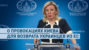 Захарова прокомментировала планы Киева вернуть молодых украинцев из ЕС для отправки на фронт