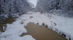 Стрим 🔴 В Лесах