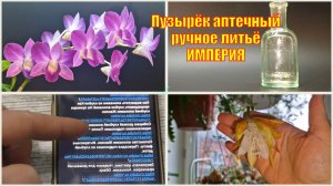 Заварил кашу. ОРХИДЕИ. ВАЖНАЯ ИНФОРМАЦИЯ! Тайна  пузырька раскрыта.