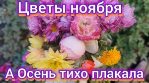 Цветы ноября. А осень тихо плакала. Рок острова.