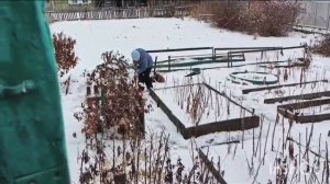 14-11-2025 вот и пришла зима