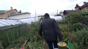 Влог от 20.09.2021