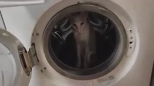 Техновложик Станок, компрессор, переделка микшера