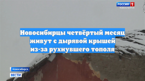 Новосибирцы четвёртый месяц живут с дырявой крышей из-за рухнувшего тополя