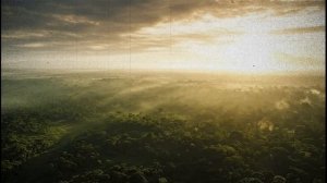 ОН ЖИВ. Ученые В ШОКЕ от находок в Конго (это не шутка)