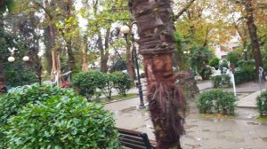 Сочи, Цветной бульвар 14 ноября!