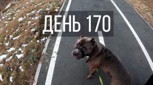 День 170