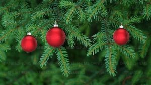 Immersive interactive Christmas