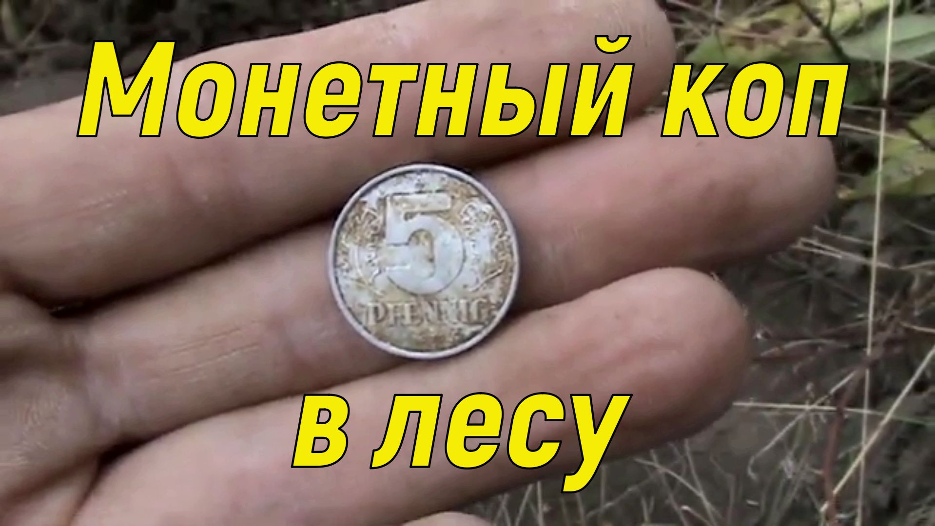 Лесной коп монет