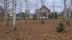 На дачу. В теплый дом. Черновые полы в терассе. Про грибы