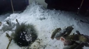 ОТЛИЧНЫЙ УЛОВ | ПРОВЕРКА ПЕРЕМЕТА 13.11.2025