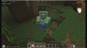 мистический сид в майнкрафте