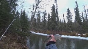 ЭТА РЕЧКА в ТАЙГЕ Забита РЫБОЙ# Рыбалка на ХАРИУСА в Непролазной Тайге СИБИРИ!!