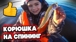Корюшка на спининг