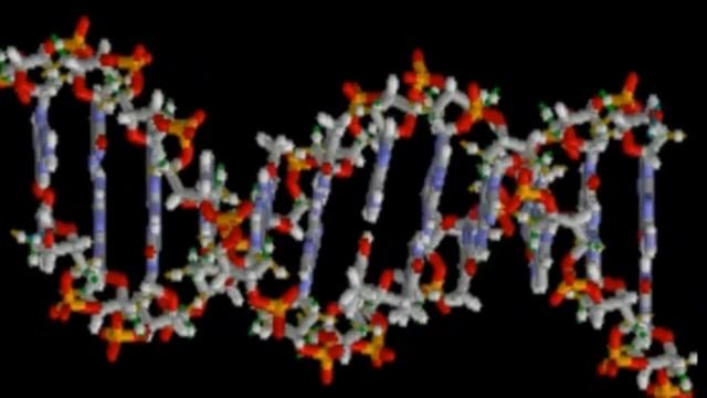 Гаряев-Матрицы.РФ__Гормональная система с матрицей Гаряева. Дирижёр любого исцеления. Обязательн смотреть онлайн