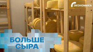 Россия увеличила экспорт сыров и творога