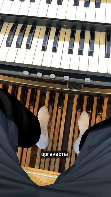 #германлеоноворганист #органист #консерватория #органнаямузыка #германлеонов #музыканты смотреть онлайн