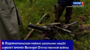 В Лодейнопольском районе школьник нашёл самолет времён Великой Отечественной войны
