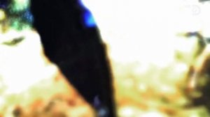 Самогонщики 9 сезон 12 серия (реалити-шоу, 2019)