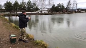 дуплет форели