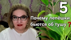 Почему лепёшки бьются об тушу❓️