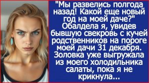 Мы развелись полгода назад! Какой еще новый год на моей даче? Обалдела я, увидев бывшую свекровь.