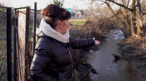 Бобры не добры