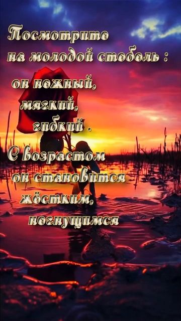 Посмотрите