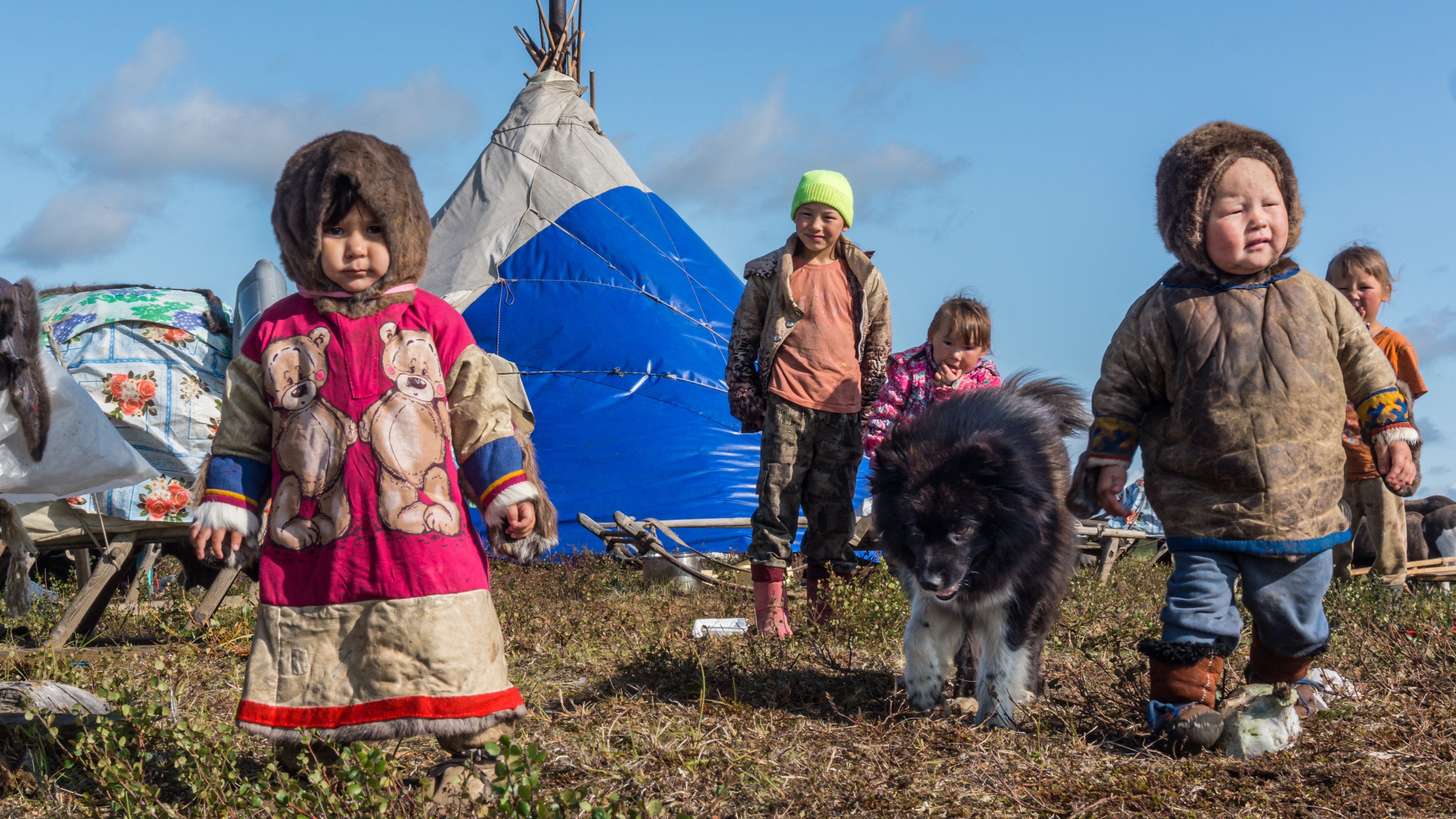 Дети тундры | Алиса AI | 2025