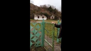 Встреча одноклассников(выпуск 1982)