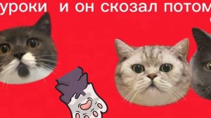 У МНОГИХ ТАКОЕ ДОМА КОГДА УЧЕБНЫЙ ГОД😁😁😁😋