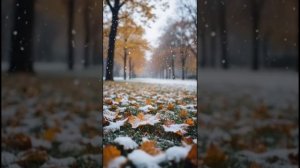 Это просто ноябрь...🎶Слова Т.Мишиной