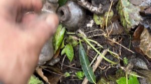 Вдоль по реке