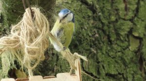 Лазоревка - всё для строительства! Москва, Крылатское