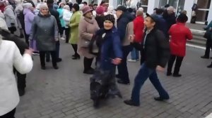 09.11.2025..🇧🇾💞"Седая Ночь 🌃"!... Гомель!..