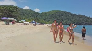 Красотки с роскошными фигурами в бикини