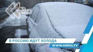Зима близко. Что ждет Центральную Россию в выходные?