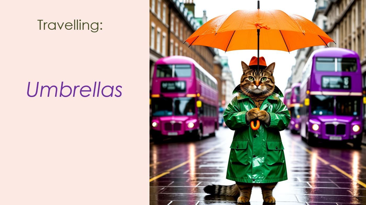 Story # 141 : Travelling :  Umbrellas