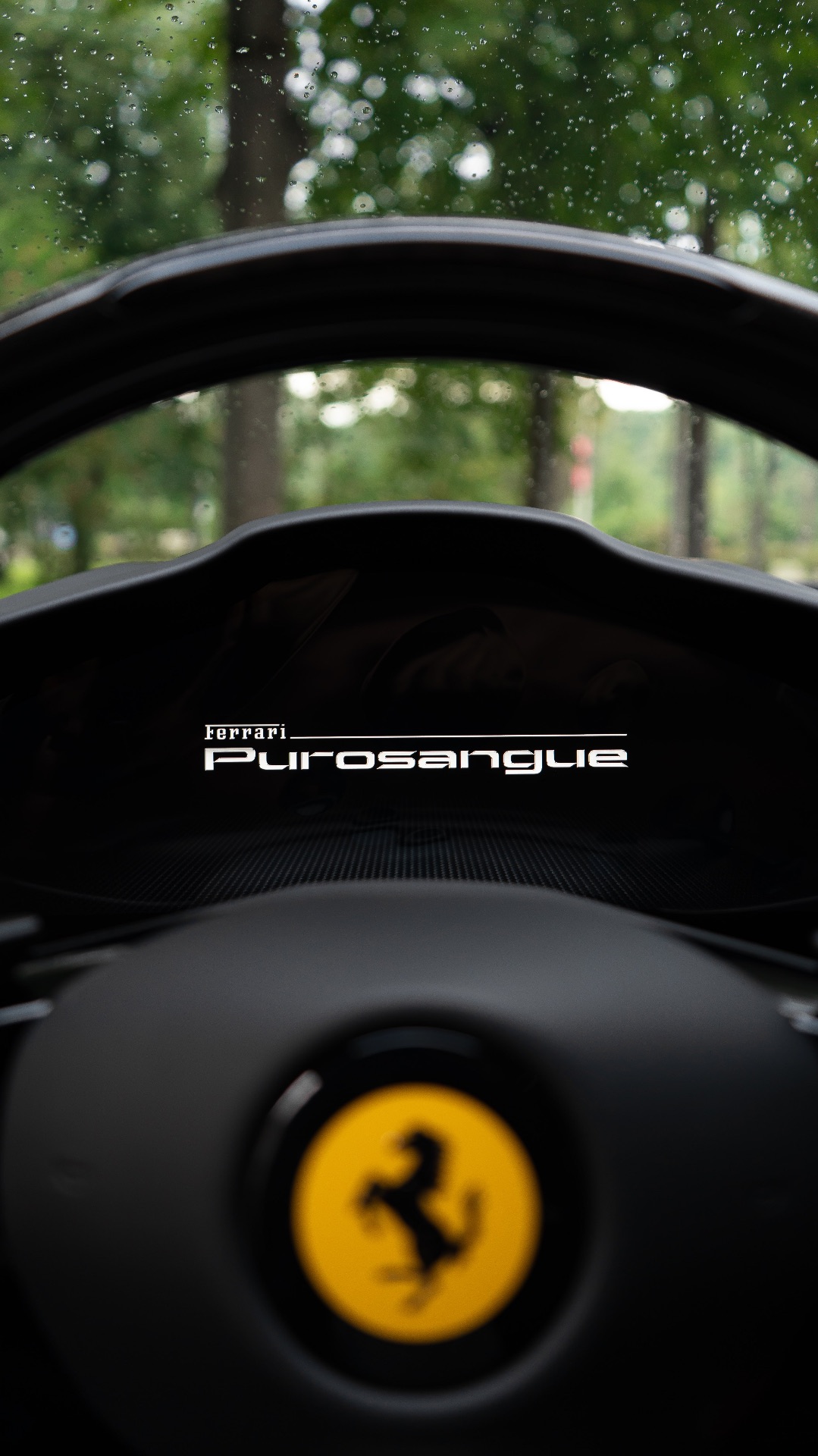 Ferrari Purosangue в BERG AUTO PREMIUM