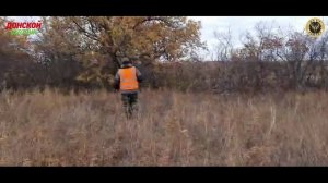 Охота на лося - подход к трофею