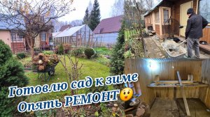 Готовлю сад к зиме.Обрезка гортензий.Что задумал муж Не ожидала этого